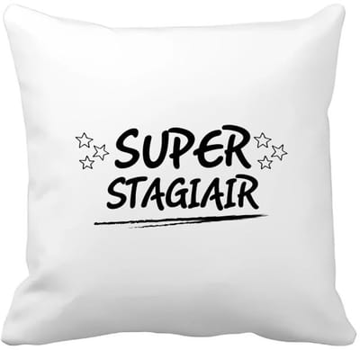 Akyol - super stagiair Kussen hoes - Stagiair - beste stagiair - werk - afscheidscadeau - verjaardagscadeau - kado - 40 bij 40 cm