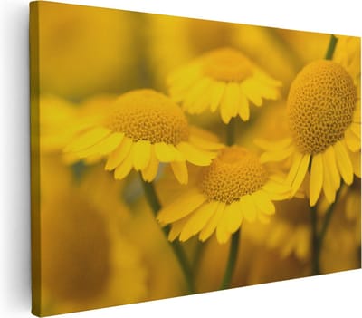 Artaza Canvas Schilderij Gele Bloemen - 30x20 cm - Klein - Muurdecoratie Bloemen - Wanddecoratie Woonkamer - Schilderijen Op Canvas Natuur