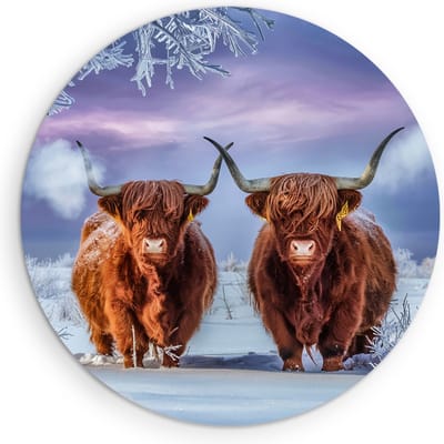 Saammp Muurcirkel Hout Schotse Hooglander Koe in de mist - Dieren - Natuur - Ø 90 - Wandcirkel - Wanddecoratie Cirkel - muurdecoratie Woonkamer - Slaapkamer decoratie - Rond Schilderij