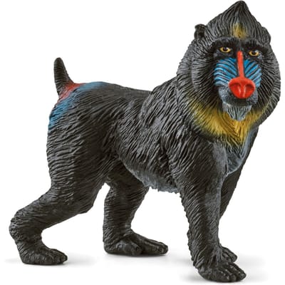 schleich WILD LIFE - Mandril - Speelfiguur - Kinderspeelgoed voor Jongens en Meisjes - 3 tot 8 jaar - 14856