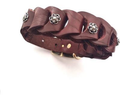halsband voor dieren, hond brace, hond collar, hond harness, hond harnas, dog collar.