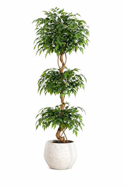 Sello! kunstplant – realistische design – luxe uitstraling – levensecht – voor binnen en buiten – naar wens te vormen – onderhoudsvrij – inclusief pot – meer dan 1449 bladeren – 180 cm.