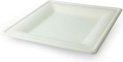 40 st. 40st. Mondial suikerriet bord vierkant - Medium