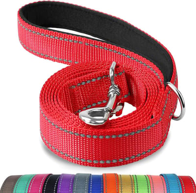 Hondenriem 6ft (1.8m) - Dubbelzijdig Reflecterend - Gepolsterd Handvat - Extra Sterk Nylon - Geschikt voor Middelgrote en Grote Honden - Rood - 1 Stuk