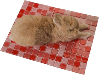 Huisdier Nest - Knaagdier Koeling - Comfort Kleine Dieren - Verbeterde Temperatuurregeling - 30 x 30 cm - Wit