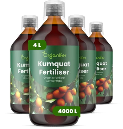 Vloeibare Meststof Voor Kumquat 4X1 L Voor 4000 L - Npk 2-1-8 - Krachtige Bloei - Vruchtvorming - Nutriëntenopname - Wortelvitaliteit - Vruchtzoetheid - Kleurintensiteit - Groenblijvend Blad - Vertakking - Droogtestress - Kuipcitrus - Organifer