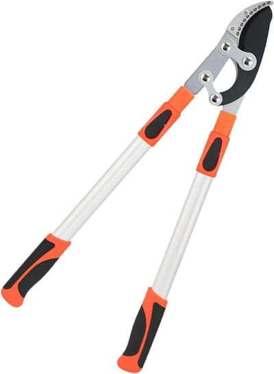 Boom Snoeier - Takkenknipper - Tuinonderhoud - Verstelbare Steel - 10 cm Opening - Willekeurig