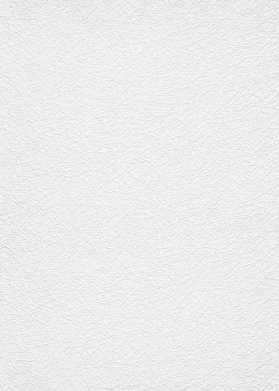 Erismann Vinylbehang 11039-01 - RollOver27 - Overschilderbaar Wit - 106cm x 25,00m