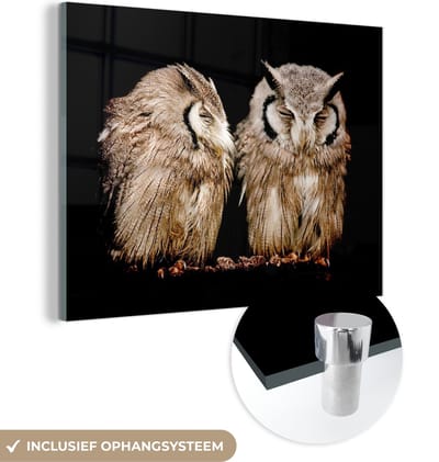MuchoWow® Glasschilderij 120x90 cm - Schilderij acrylglas - Uil - Vogel - Zwart - Foto op glas - Schilderijen