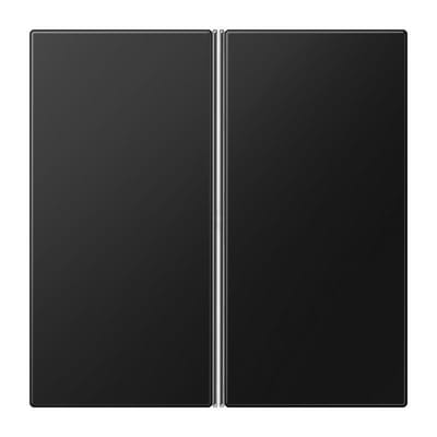 Jung LS range Bedieningselement/Centrale Plaat Schakelmateriaal - LS402TSASWM