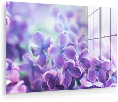 ® Glasschilderij 180x120 cm - Schilderij acrylglas - Close up van paarse bloesems van de sering - Foto op glas - Muurdecoratie woonkamer - Wanddecoratie slaapkamer - Schilderijen