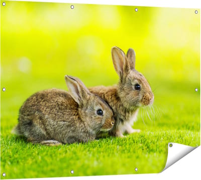 Gards Tuinposter Twee Konijnen op het Groene Gras - 120x90 cm - Tuindoek - Tuindecoratie - Wanddecoratie buiten - Tuinschilderij