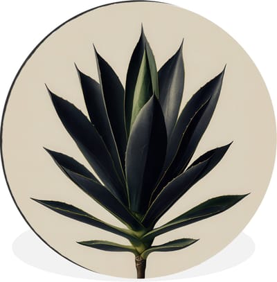 WallCircle - Wandcirkel - Muurcirkel - Agaveplant - Symmetrisch - Groen - Aluminium - Dibond - 30x30 cm - Binnen en Buiten