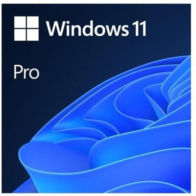 Mme Windows 11 Professionnel 64 bits Polonais 1 Paquet DVD OEM