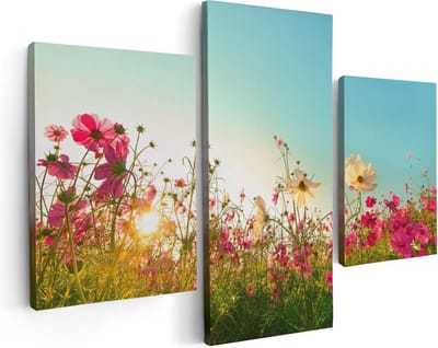 Artaza Canvas Schilderij Drieluik Kosmos Bloemenveld Met Een Opkomende Zon - 90x60 - Foto Op Canvas - Canvas Print