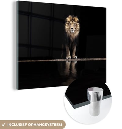 MuchoWow® Glasschilderij 40x30 cm - Schilderij acrylglas - Leeuw - Water - Portret - Foto op glas - Schilderijen