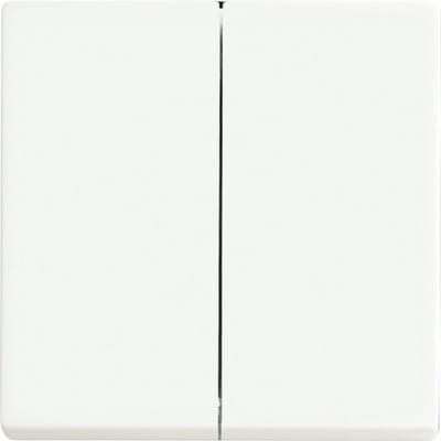 ABB Busch-Jaeger Schakelelement/Centrale Plaat - 2CKA006730A0140