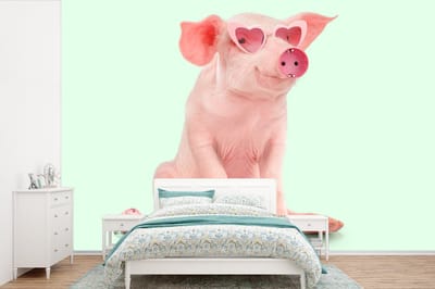 Behang - Muurdecoratie - Varken - Roze - Bril - Stopcontact - Dieren - 360x240 cm - Fotobehang - Vinylbehang