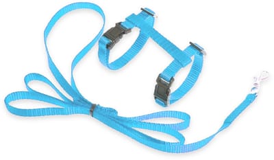 LUQ – Kattenharnas Zwart met 120cm Riem – Veilig Kliksysteem – Premium Nylon – Kattentuigje – Verstelbaar & Stevig