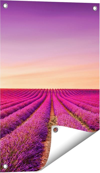Gards Tuinposter Paarse Lavendel Bloemenveld - 40x60 cm - Tuindoek - Tuindecoratie - Wanddecoratie buiten - Tuinschilderij