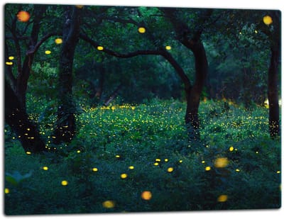 TMK ArtDeko - Glazen Snijplank - 52x40 cm - Inductiekookplaat - Decoratief