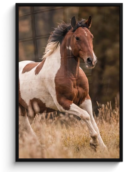 Poster in lijst - Fotolijst 80x120 cm - Posters - Paard - Bruin - Gras - Posterlijst zwart - Decoratie - Wanddecoratie woonkamer - Muurdecoratie slaapkamer