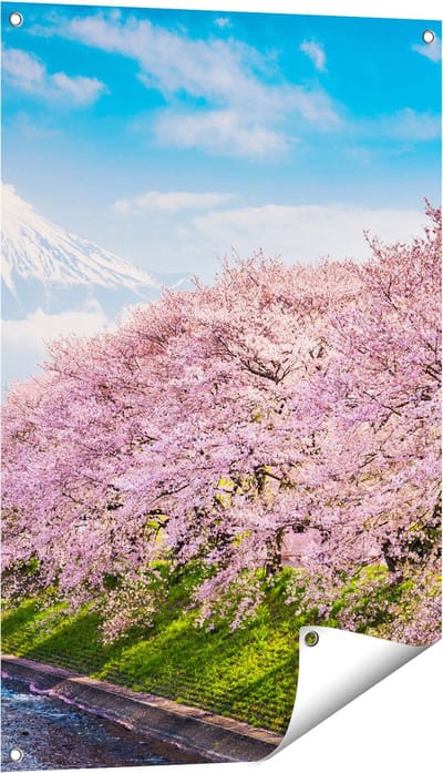 Gards Tuinposter Roze Bloesembomen bij de Fuji Berg - 60x90 cm - Tuindoek - Tuindecoratie - Wanddecoratie buiten - Tuinschilderij