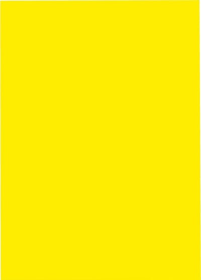 A4 Laserprinter etiketten - 210 x 297 mm rechthoek - geel radiant - 100 vel per doos