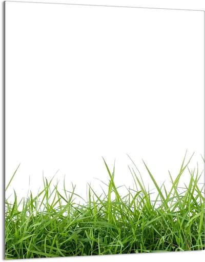 TMK ArtDeko Serie - Snijplank van Glas - 40x52 cm - Wit - Bescherming en Hygiëne