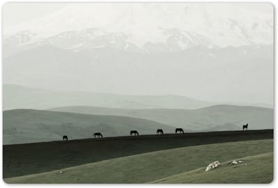 Placemats 45x30 cm - Placemat kunststof - 1 stuk - Grijs - Berg - Paarden - Borden onderleggers - Decoratie voor op tafel - Keuken tafeldecoratie accessoires - Vinyl onderlegger - Tafelversiering