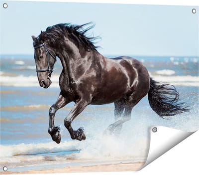 Gards Tuinposter Zwart Paard in het Water - 80x60 cm - Tuindoek - Tuindecoratie - Wanddecoratie buiten - Tuinschilderij