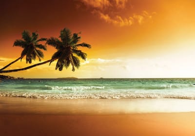 Vliesbehang - Fotobehang - Strand - Zee - Palmboom - Golven - Zon - Zand - 146x208 cm (Hoogte x Lengte)