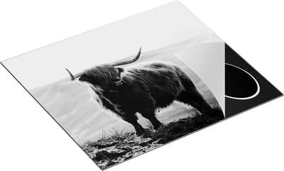Chefcare Inductie Beschermer Schotse Hooglander in de Heuvels van Schotland - Zwart Wit - 60x50 cm - Afdekplaat Inductie - Kookplaat Beschermer - Inductie Mat