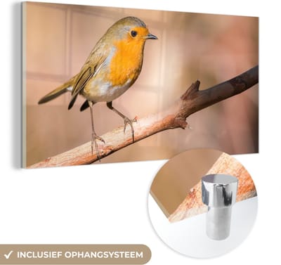 MuchoWow® Glasschilderij 40x20 cm - Schilderij acrylglas - Vogel - Tak - Roodborstje - Foto op glas - Schilderijen