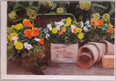 Een kleurrijke blanco kaart met bloemen en potten waar de bloemen in moeten. Een leuke kaart om zo te geven of om bij een cadeau te voegen. Een dubbele wenskaart inclusief envelop en in folie verpakt.