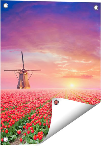 Gards Tuinposter Rode Rozen Bloemenveld met een Windmolen - 40x50 cm - Tuindoek - Tuindecoratie - Wanddecoratie buiten - Tuinschilderij