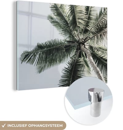 MuchoWow® Glasschilderij 40x30 cm - Schilderij acrylglas - Palmboom - Tropical - Zomer - Foto op glas - Schilderijen