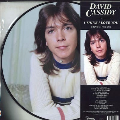 LP Plaat DAVID CASSIDY - I Think I Love You (Greatest Hits L CLO0791 Goldenlane Reco 2018 US Pop gray
