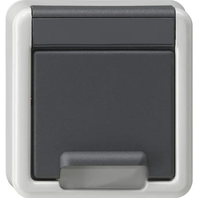 Gira Schuko stopcontactdeksel met afdekking voor opbouwmontage grijs - 494230
