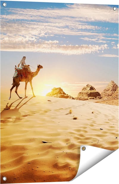 Gards Tuinposter Egyptische Piramides met een Kameel - 60x80 cm - Tuindoek - Tuindecoratie - Wanddecoratie buiten - Tuinschilderij