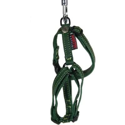 MARTIN SELLIER Nature Harnas / Hondentuigje - Gevet Leder - Groen - XXS - Breedte: 10 mm - Borstomtrek: 32-35 cm (GELIEVE ALVORENS BESTELLEN OPMETEN)