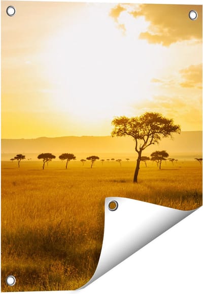 Gards Tuinposter Zonsondergang in de Savanne - 40x50 cm - Tuindoek - Tuindecoratie - Wanddecoratie buiten - Tuinschilderij