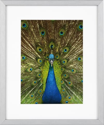 Goldbuch - Fotolijst Pino - Zilver - 13x18 cm (20x25 cm)