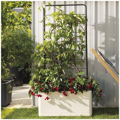 DEROMA – Cosmo – Metaal Wandtrellis – 78 x 163 cm – Antraciet