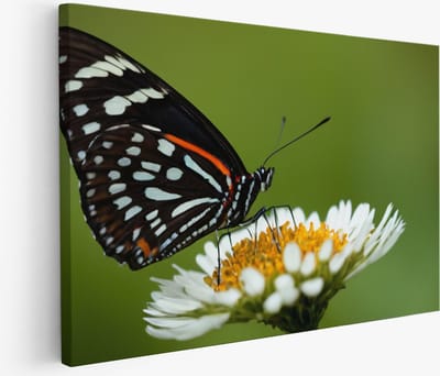 Saammp Muurcirkel Hout - Oranje Bloem - Abstract - Ø 90 - Wandcirkel - Wanddecoratie Cirkel - Muurdecoratie Woonkamer - Kantoor Decoratie