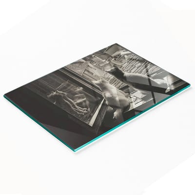 Multifunctionele decoratieve keukenwand van gehard staal met katten in het raam, 80x52 cm