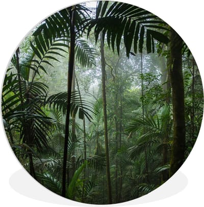 WallCircle - Wandcirkel 90x90 - Regenwoud - Tropisch - Jungle - Bomen - Planten - Ronde schilderijen woonkamer - Wandbord rond - Muurdecoratie cirkel - Kamer decoratie binnen - Wanddecoratie muurcirkel - Woonaccessoires
