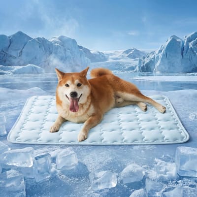 Cooling Hondenmat Q-Max >0.5 - Verkoelende Koelmat voor Hond en Kat - Wasbaar en Antislip - Ademend Zomerbed - Blauw - 35 x 23 inch (L-Crate)