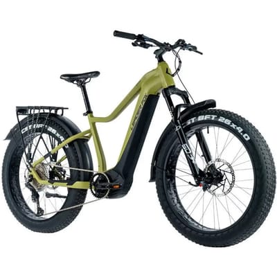 Elektrische fiets Leader Fox Brasa 2024