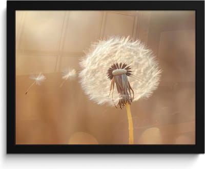 Poster in lijst - Fotolijst 40x30 cm - Posters - Paardenbloem - Beige - Natuur - Bloem - Posterlijst zwart - Decoratie - Wanddecoratie woonkamer - Muurdecoratie slaapkamer